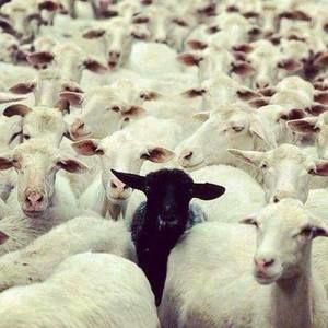 Meet your Posher, Notnilc